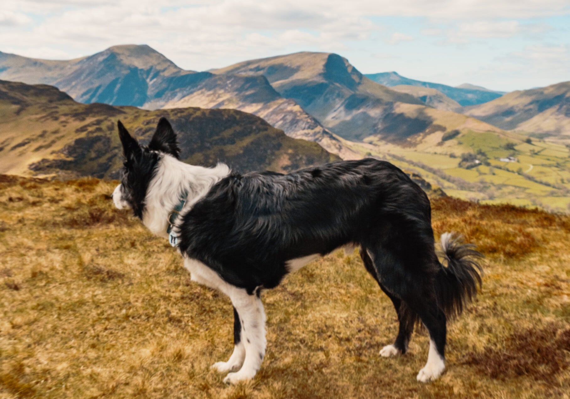CATBELLS walk