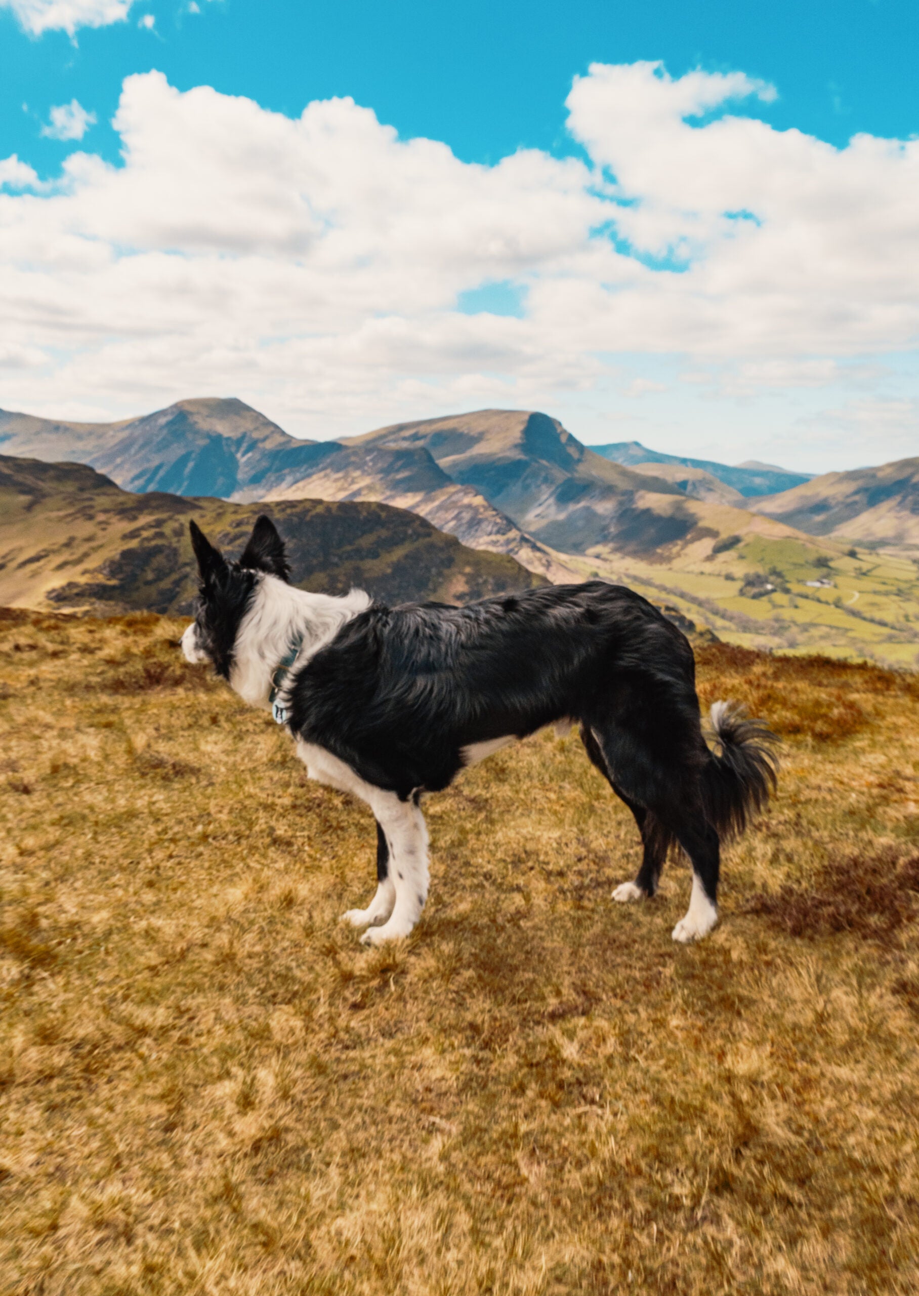 CATBELLS walk