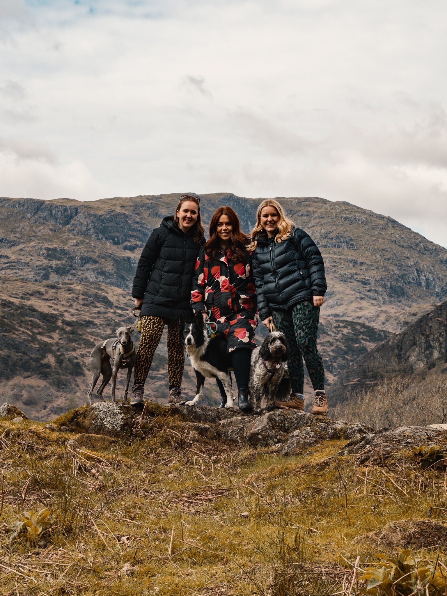 Lake District: Dog-Friendly Top Things To Do