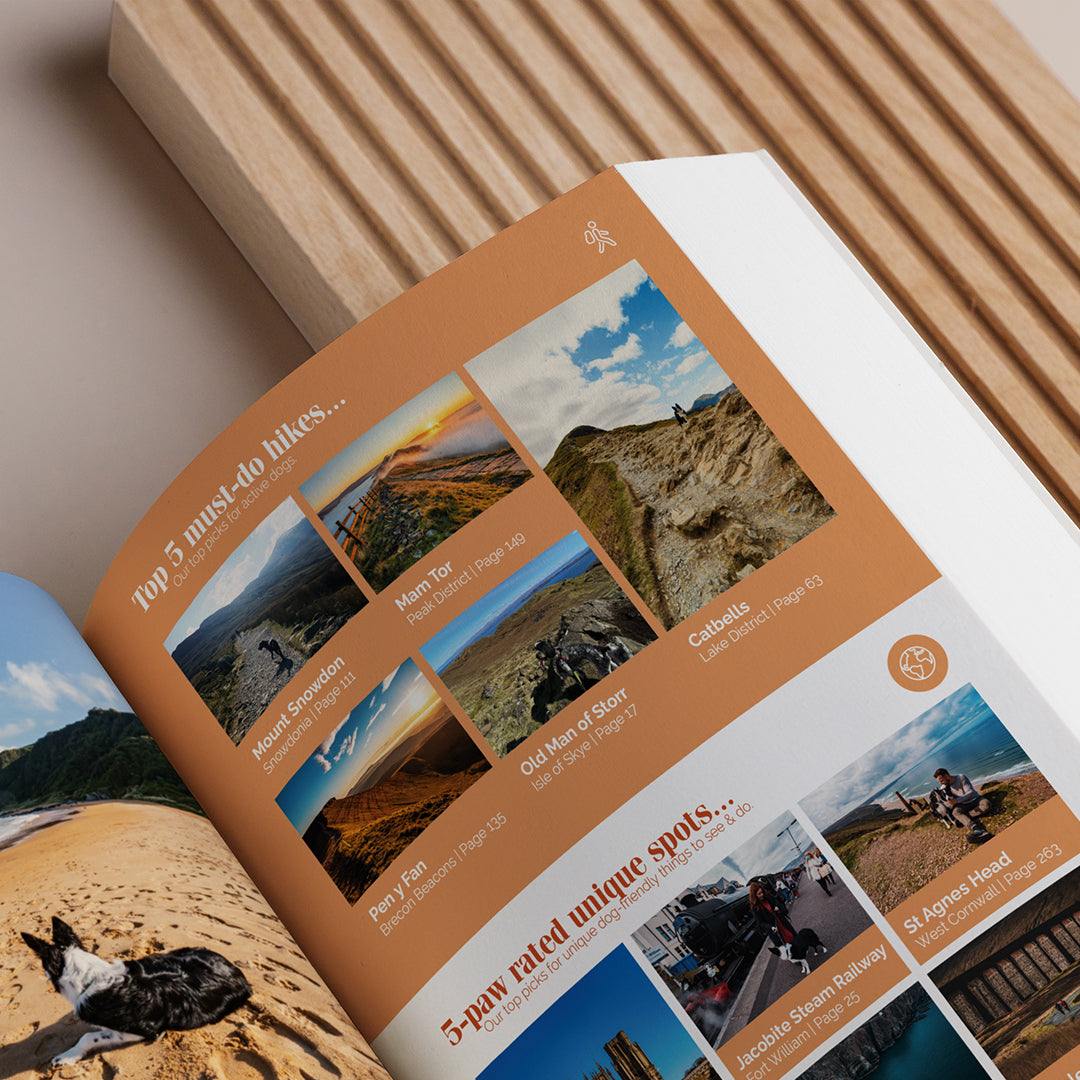Dog-Friendly Weekends Away UK Guide Book - Unforgettable Dog Friendly Getaways image 5