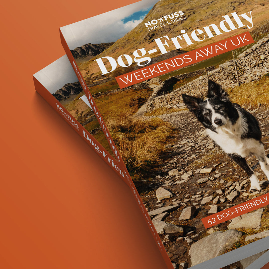 Dog-Friendly Weekends Away UK Guide Book - Unforgettable Dog Friendly Getaways image 1