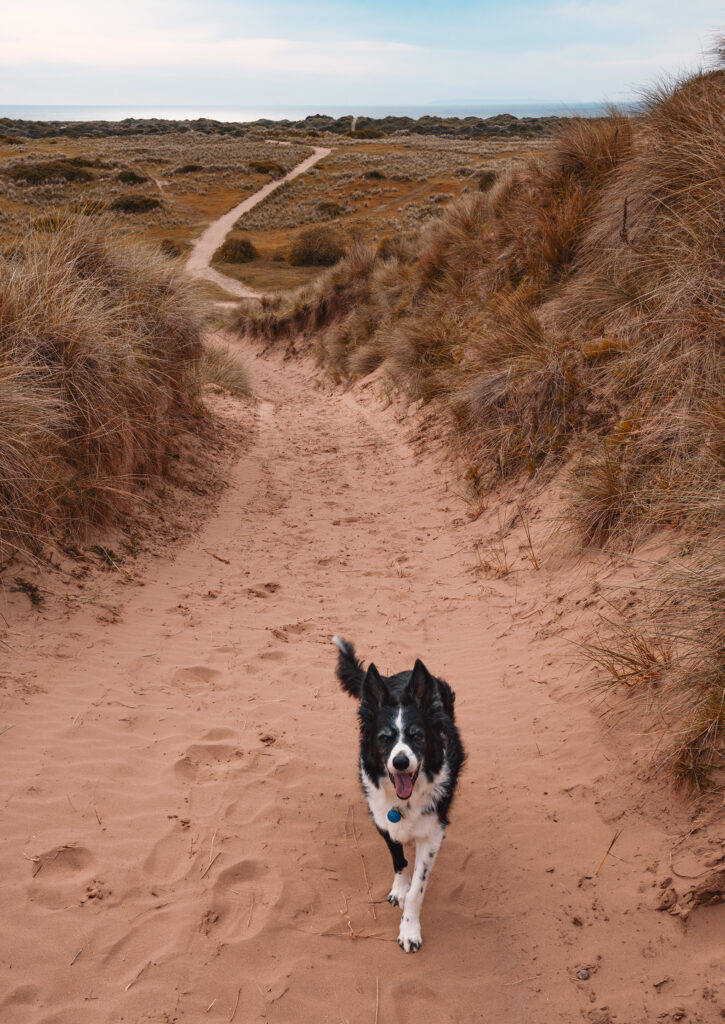 Saunton Sands