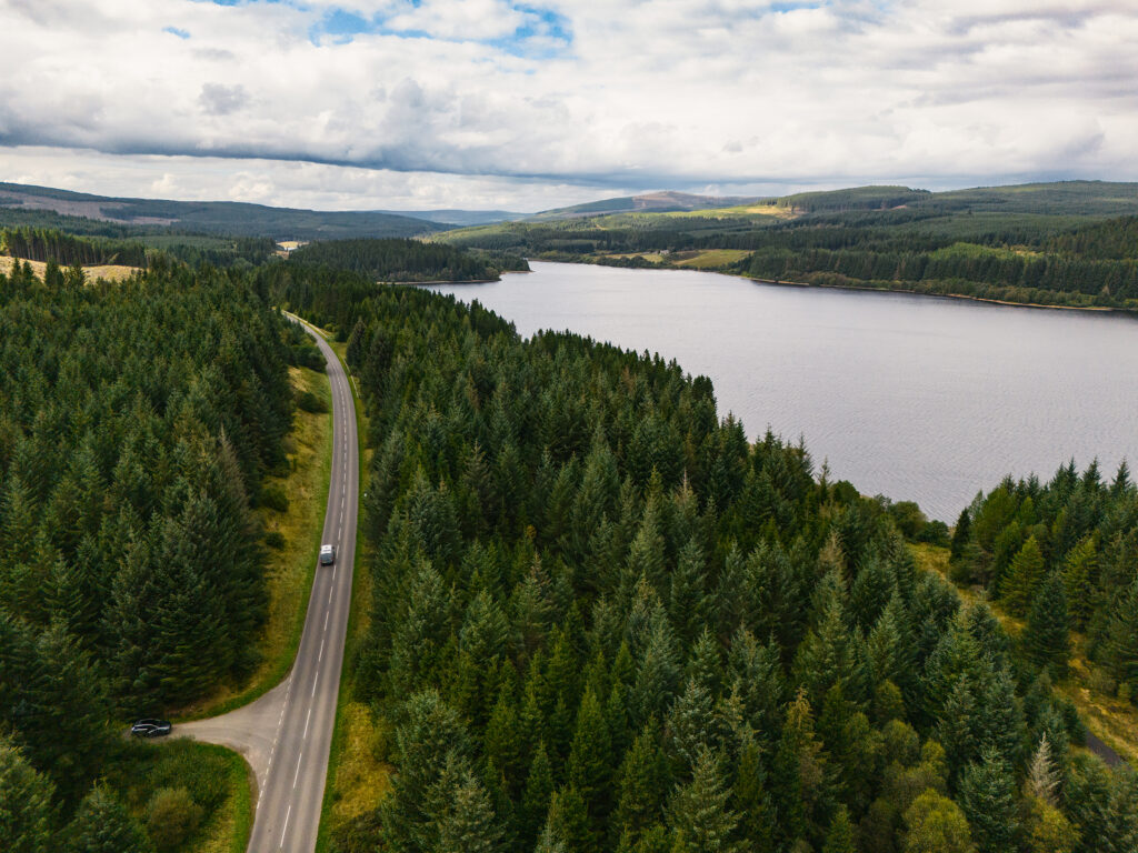 Kielder Forest