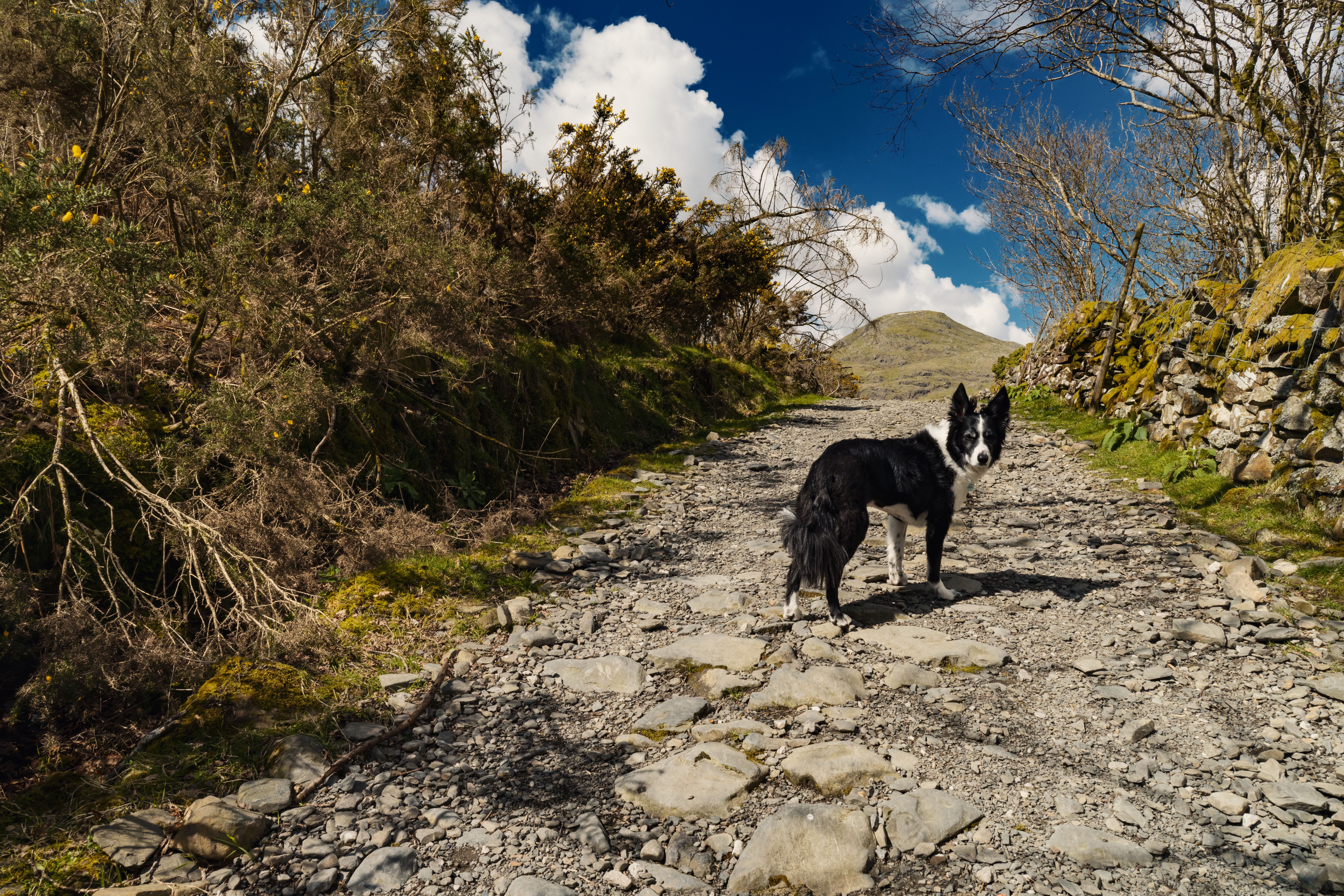 Banishead Quarry Walk
