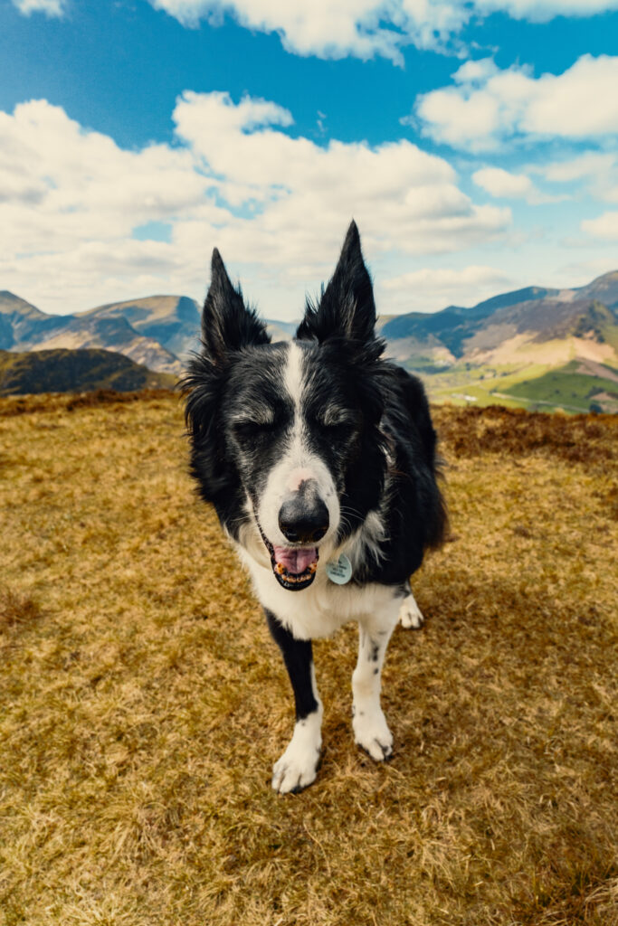 Catbells Lake District