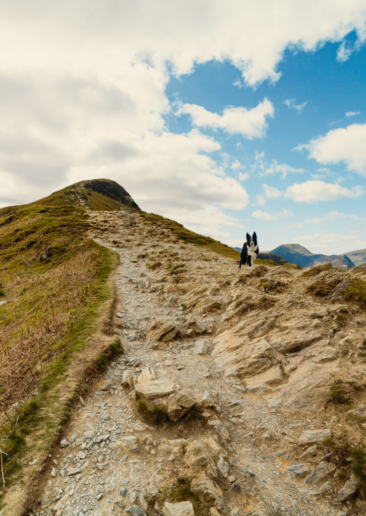 Catbells, Lake District