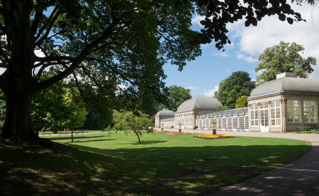 Accessible Places to Visit in Yorkshire: Sheffield Botanical Gardens